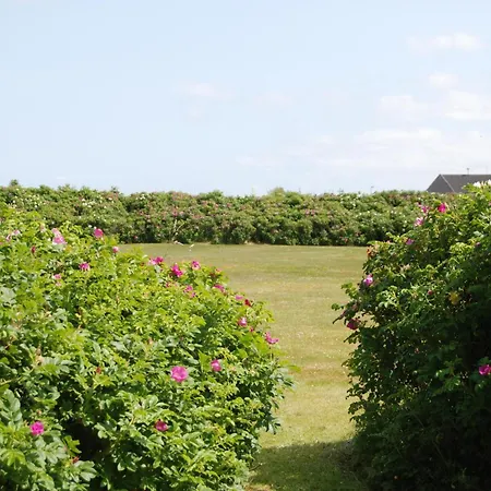 Haus Pamir 8 App 8 Daire